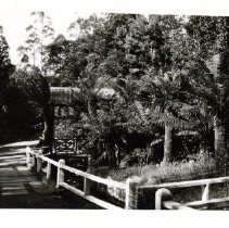 Photograph, Black-and-White